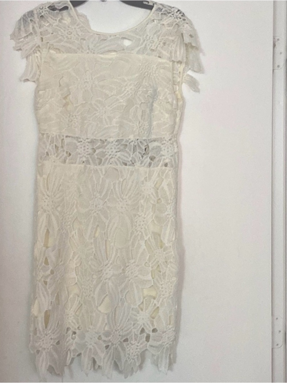 Romeo & Juliet Couture Cream Lace Mini Dress